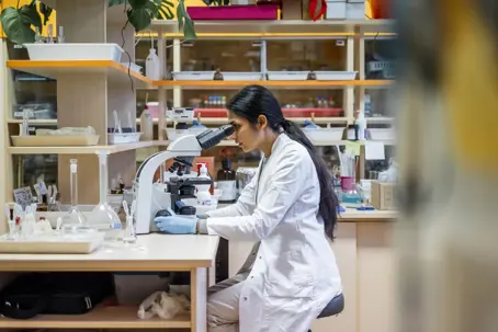 Lab testing