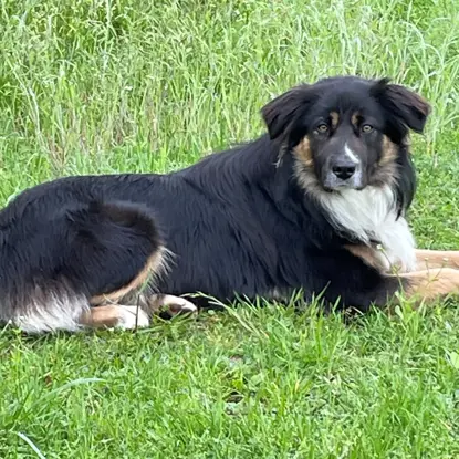 Smoke the Okie   Photo